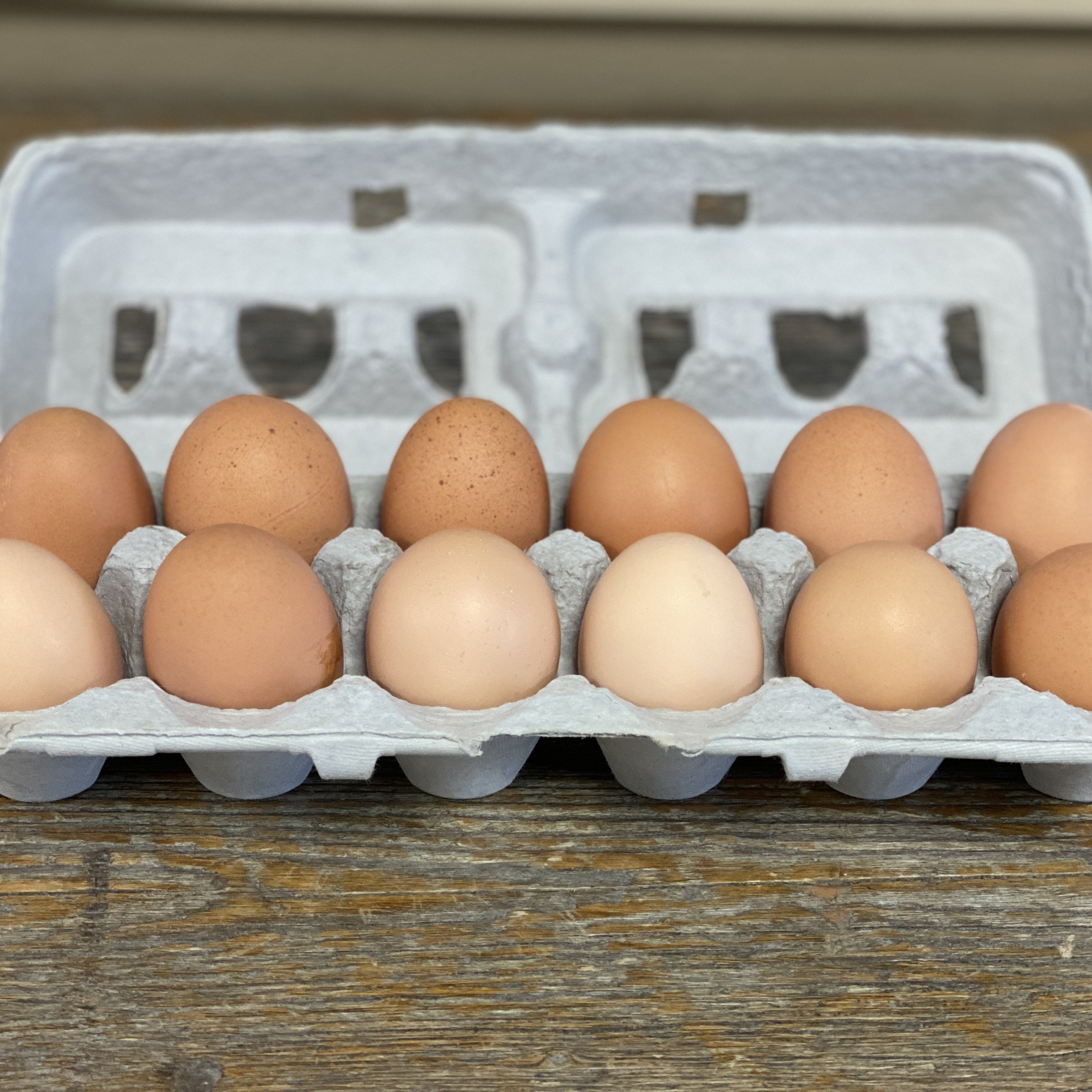 Dozen Eggs | Double X Bar Farm & Ranch